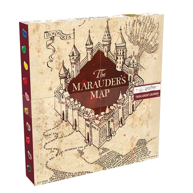 Harry Potter™ Marauder's Map™ Trivia Advent Calendar - 6.7 oz