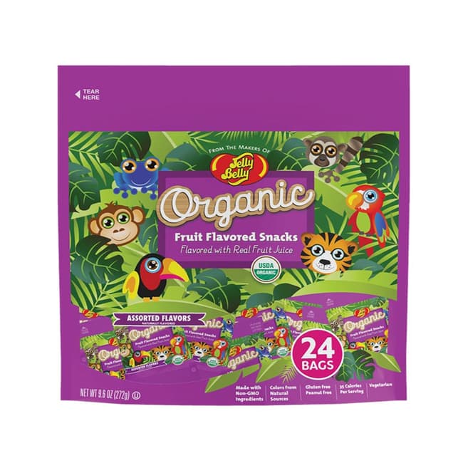 Jelly Belly Organic Fruit Snacks Fun Pack 9.6 oz bag
