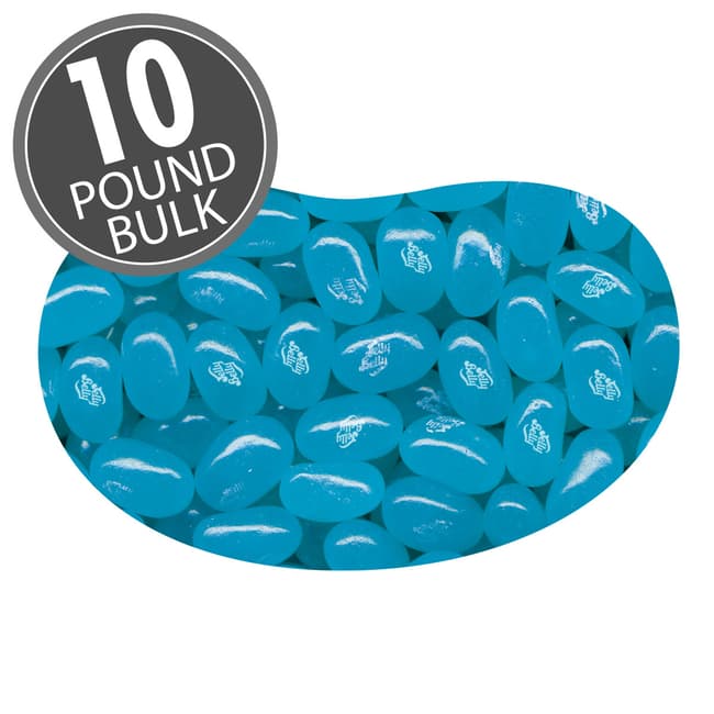 Jelly Belly Berry Blue Jelly Beans - 1 Pound (16 Ounces) of Berry Flavor  Candy in a Resealable Bag