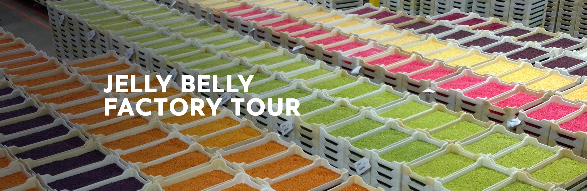 haribo gummy factory tour