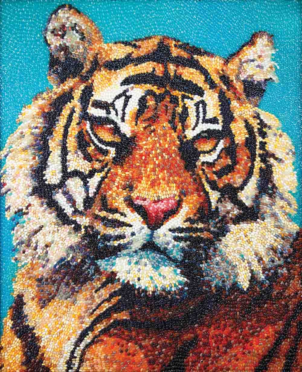 Bengal Tiger